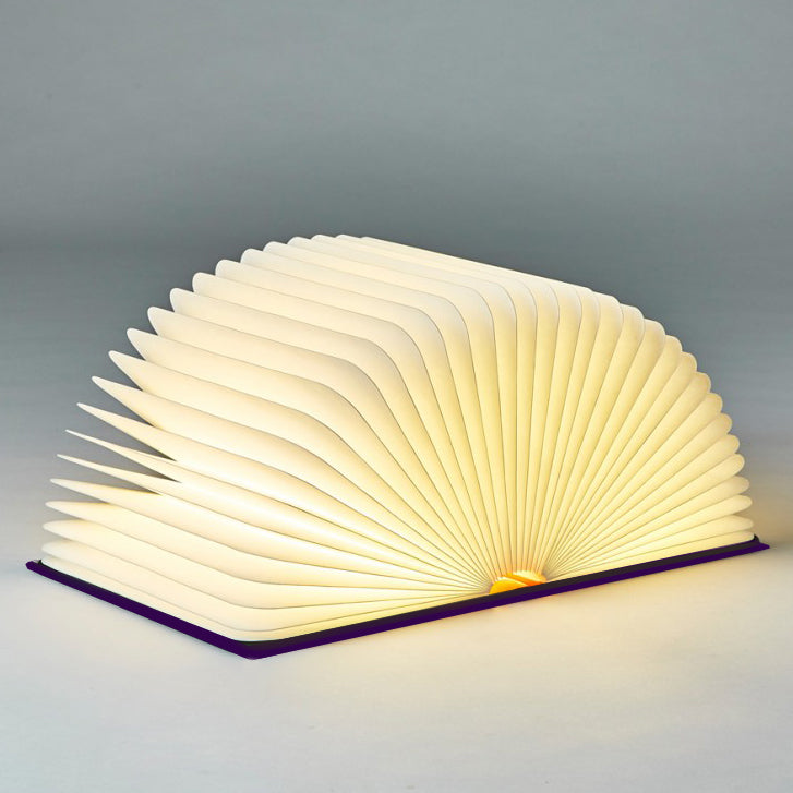 Classic Book Light - Whinnie the Pooh