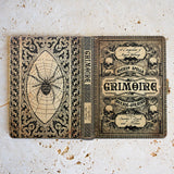 Grimoire Magic Universal Kindle, eReader & Tablet Case
