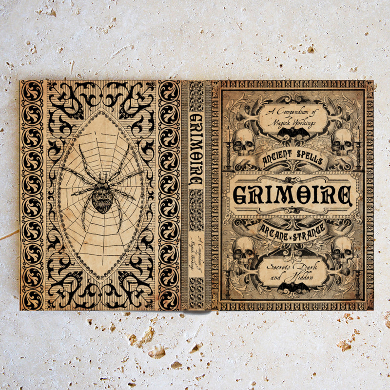 Grimoire Magic / Universal Hardback eReader Case