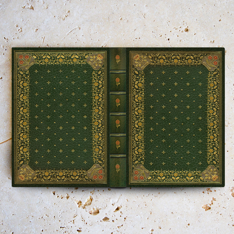 Ornate Green Universal Hardback eReader Case / Classic Book Collection