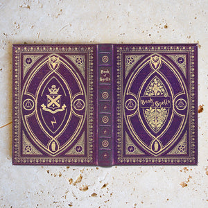 Potter Themed Book of Spells / Universal eReader Case