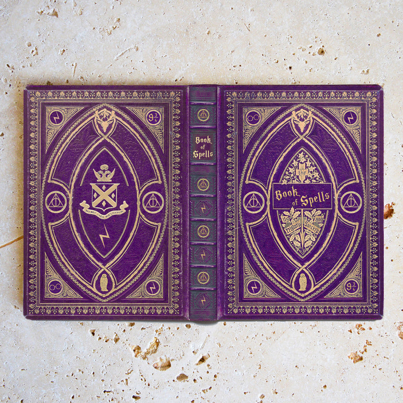 Book of Spells Universal Kindle, eReader & Tablet Case