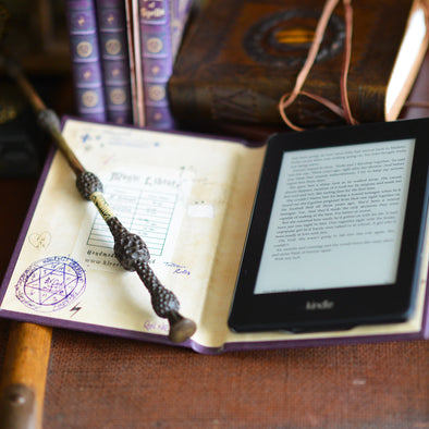 Hogwarts House Colour themed Kindle, eReader and Tablet case for