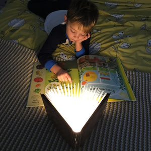Classic Book Light - All Too Well